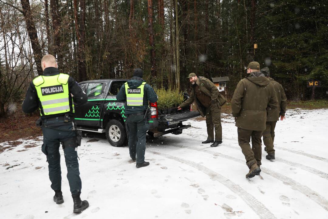 Miškininkų ir pareigūnų prevencinė akcija „Eglutė“