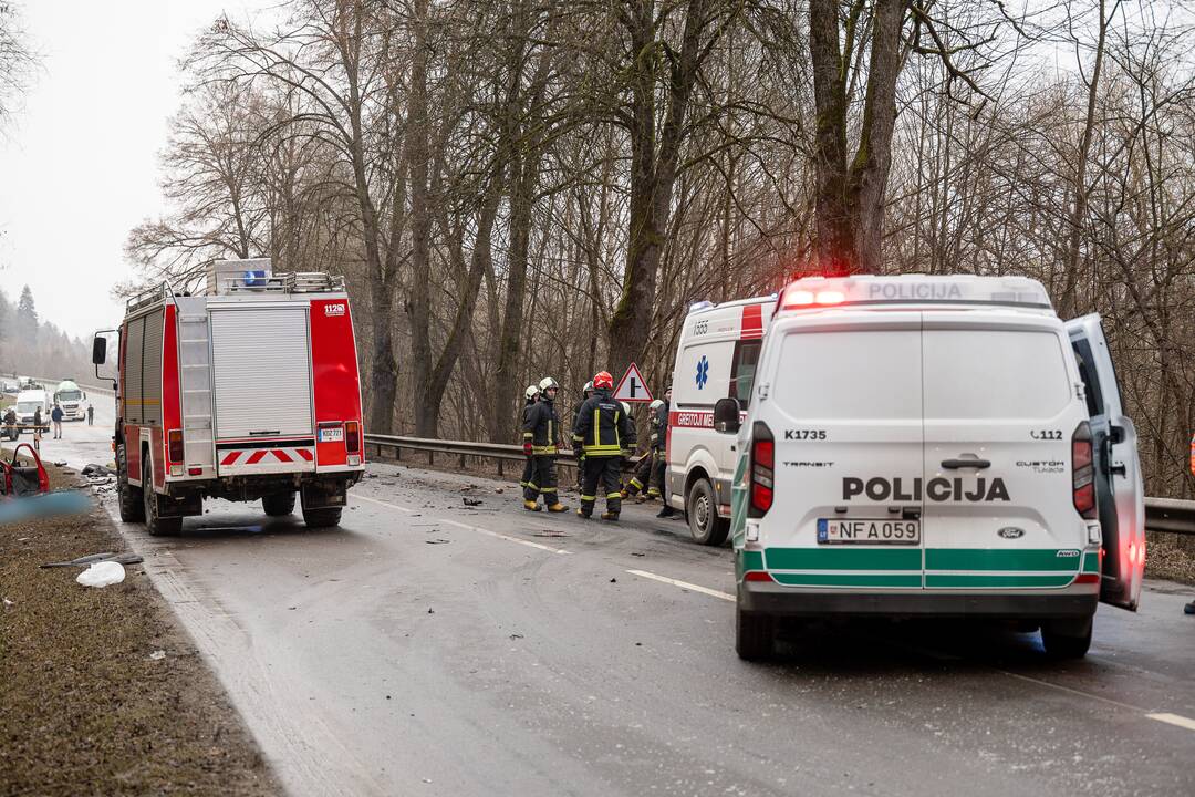 Netoli Kauno – siaubinga akistata su miškavežiu