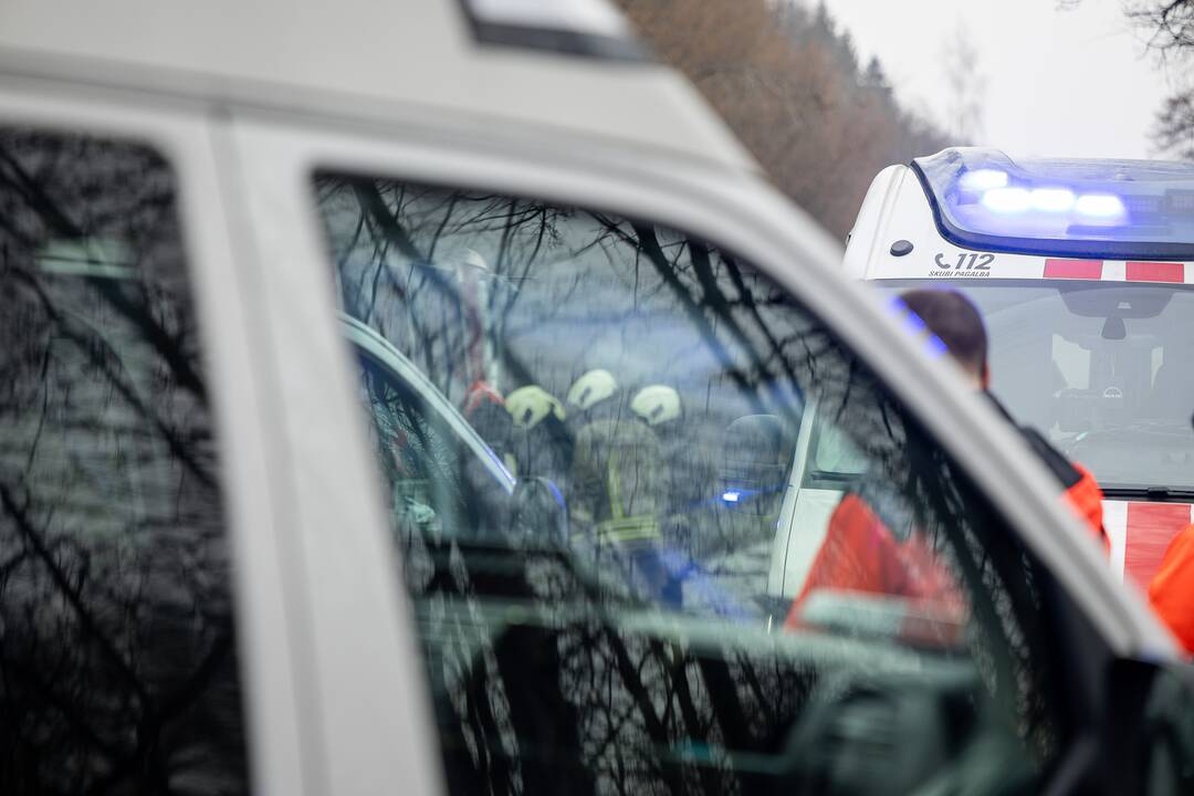 Netoli Kauno – siaubinga akistata su miškavežiu