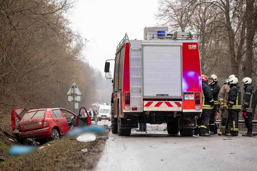 Netoli Kauno – siaubinga akistata su miškavežiu