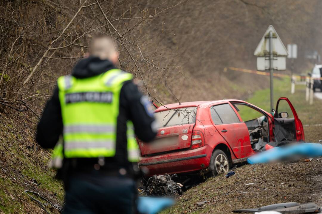 Netoli Kauno – siaubinga akistata su miškavežiu