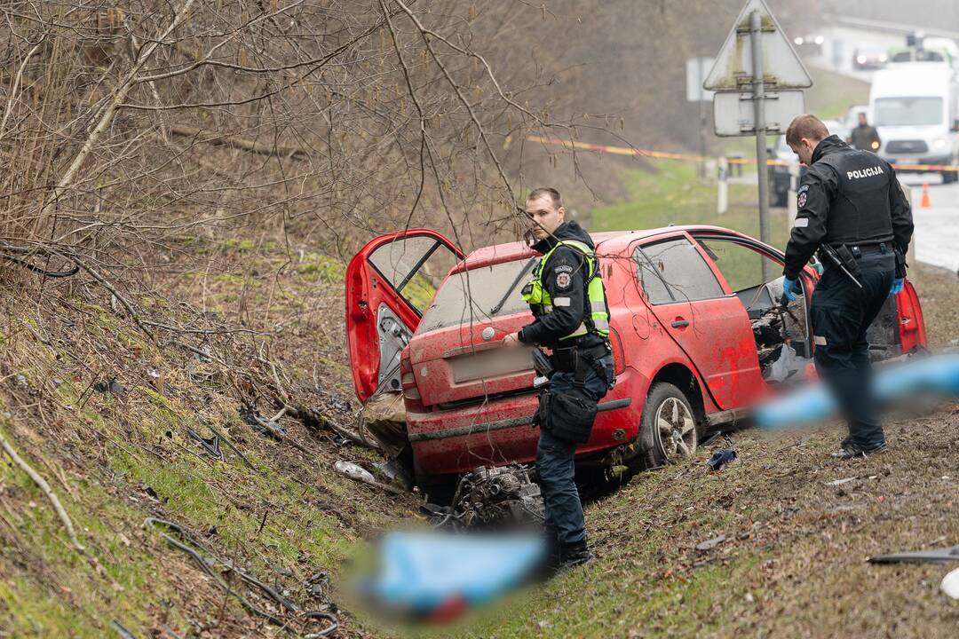 Netoli Kauno – siaubinga akistata su miškavežiu