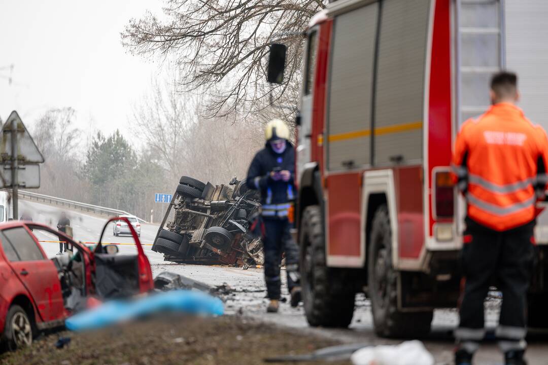 Netoli Kauno – siaubinga akistata su miškavežiu