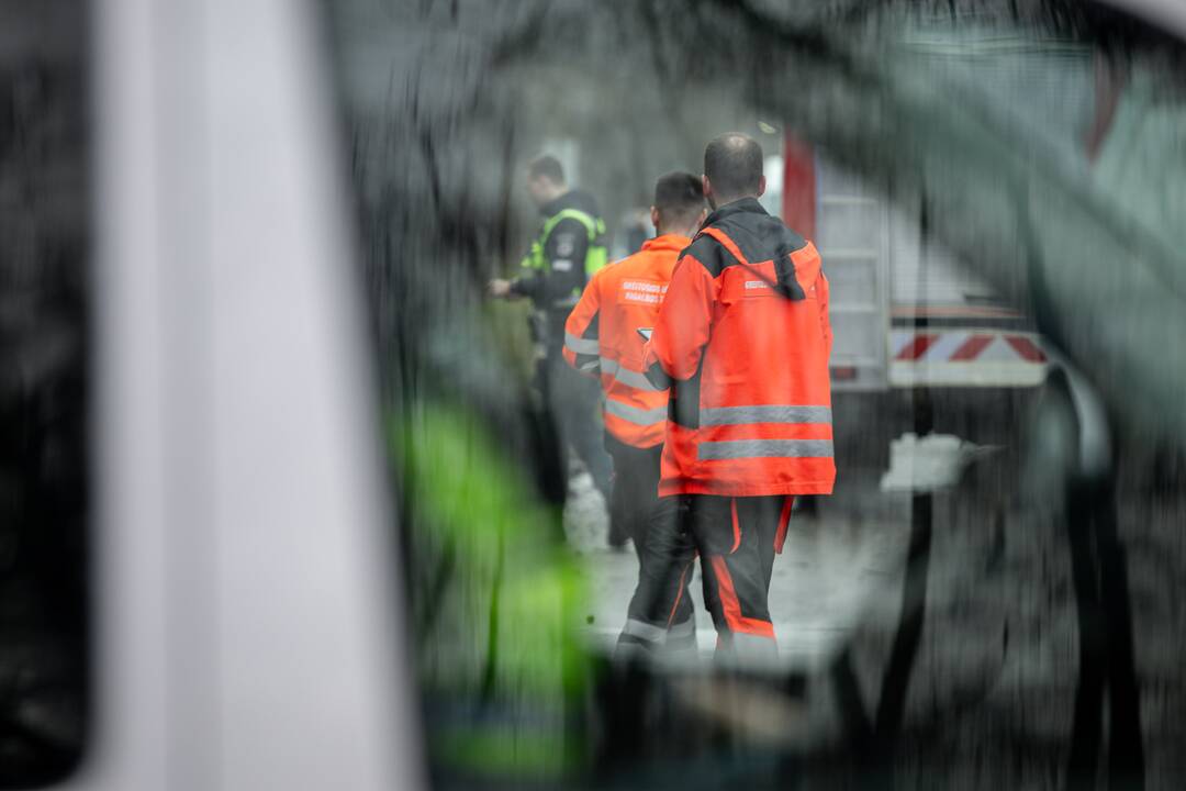 Netoli Kauno – siaubinga akistata su miškavežiu