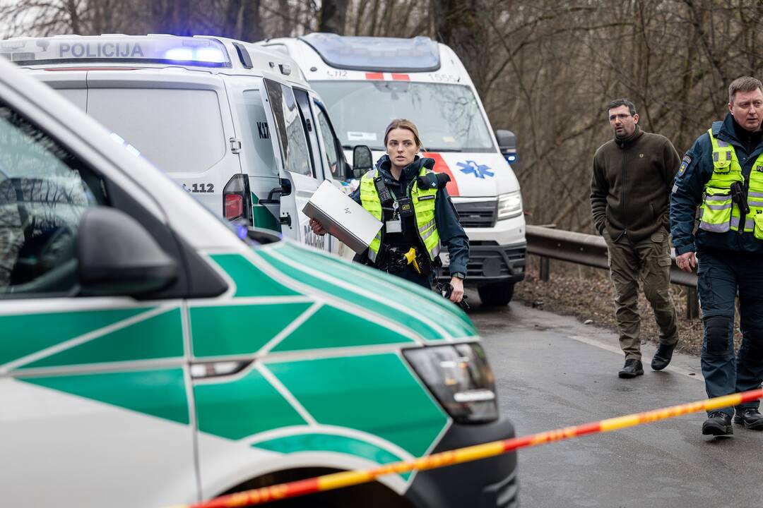Netoli Kauno – siaubinga akistata su miškavežiu