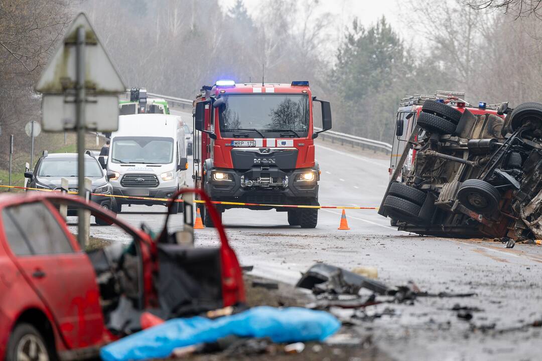 Netoli Kauno – siaubinga akistata su miškavežiu