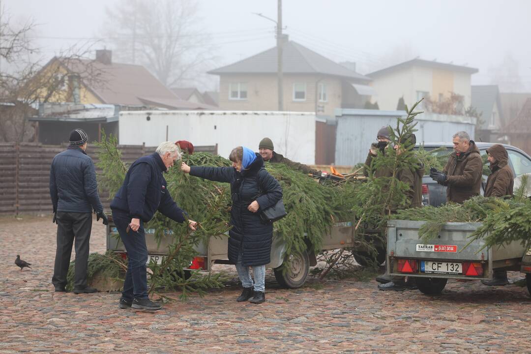 Miškininkai vėl pakvietė į namus parsinešti kvepiančias Kalėdas