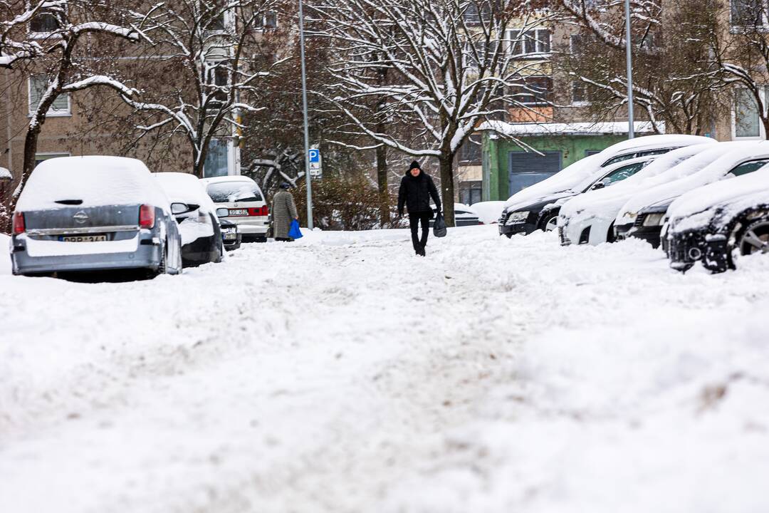 Grigiškių gatvės po nakties pūgos
