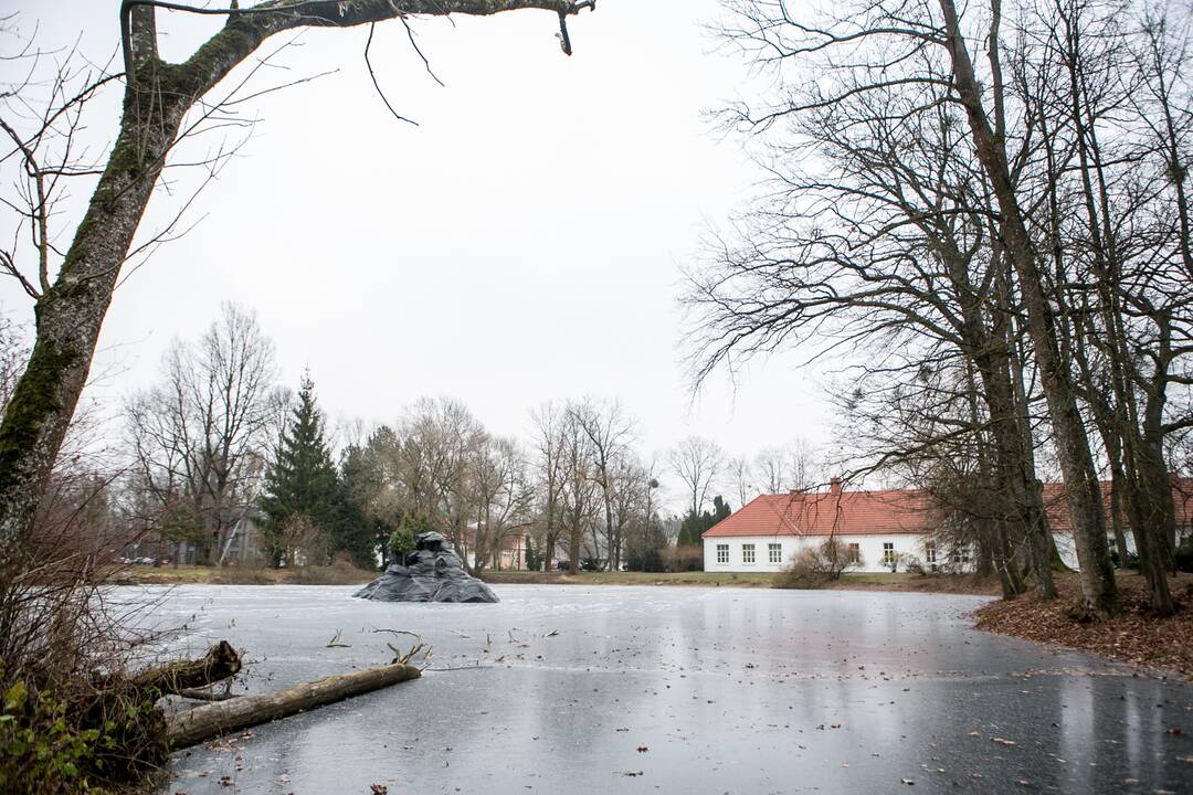 Skulptūra King Kongas perkelta į Botanikos sodo tvenkinį