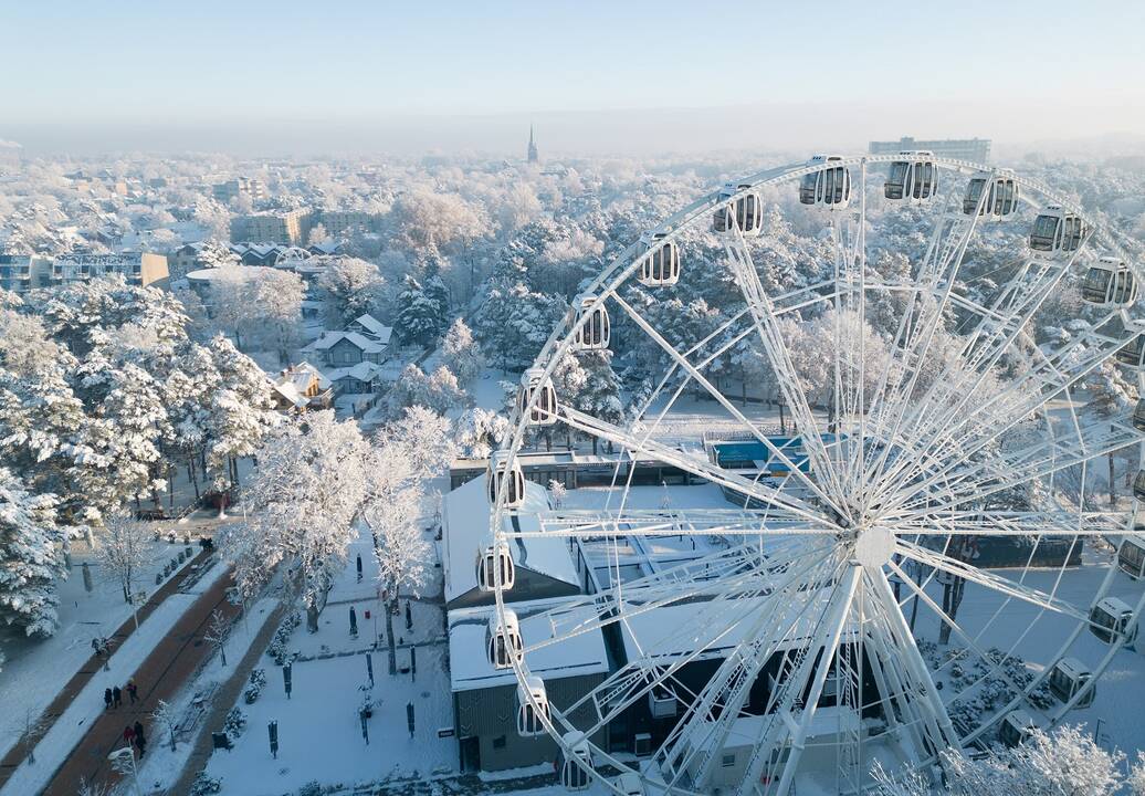 Kada sulauksime tikrojo pavasario?