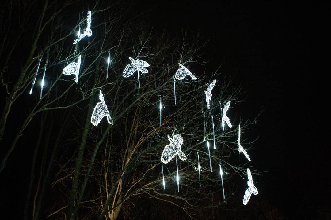 Kaunas pradeda puoštis artėjančioms šventėms