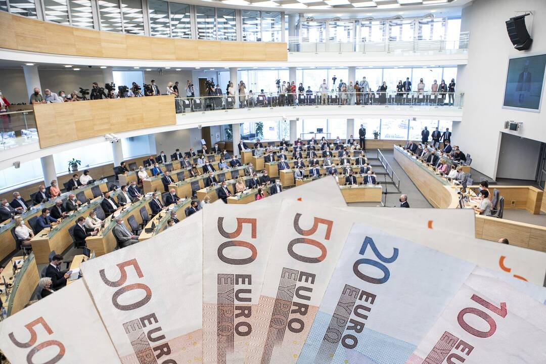 Prezidento patarėja: biudžete nemalonių staigmenų nėra