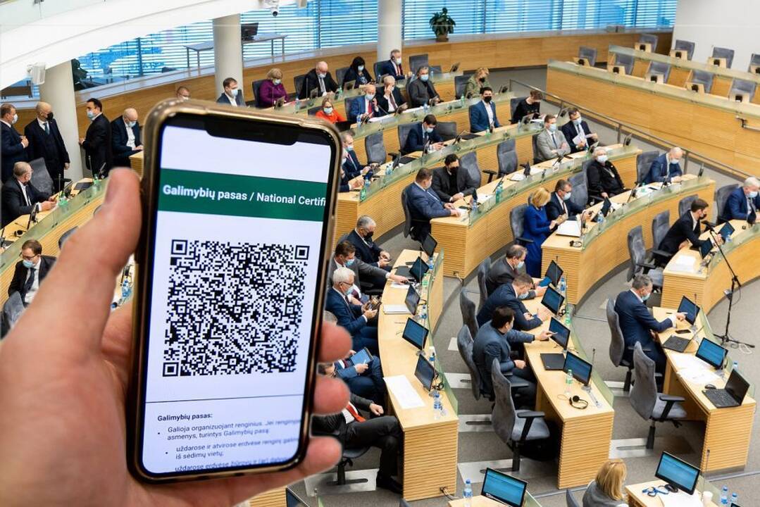 Ar sausio 11 d. Seimo rūmai taps politinio cirko arena?