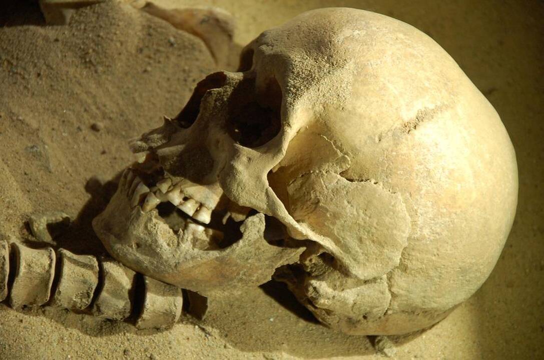 Viešvilėje duobę kasęs paauglys aptiko kraupų radinį 