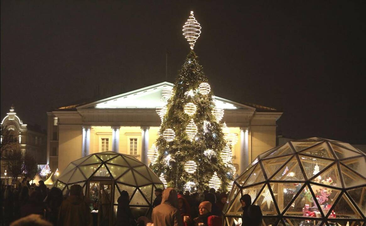 Sostinės Rotušės aikštėje nušvito Kalėdų eglutė