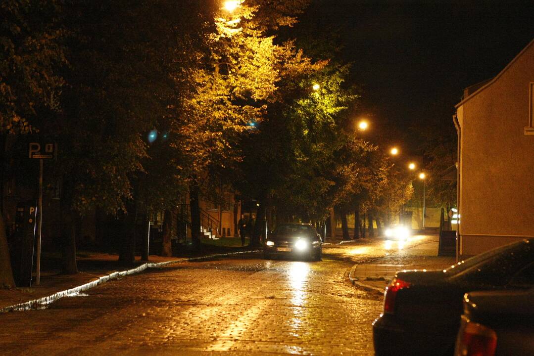 Savivaldybėms skirta beveik 12 mln. eurų gatvių apšvietimo sistemoms modernizuoti