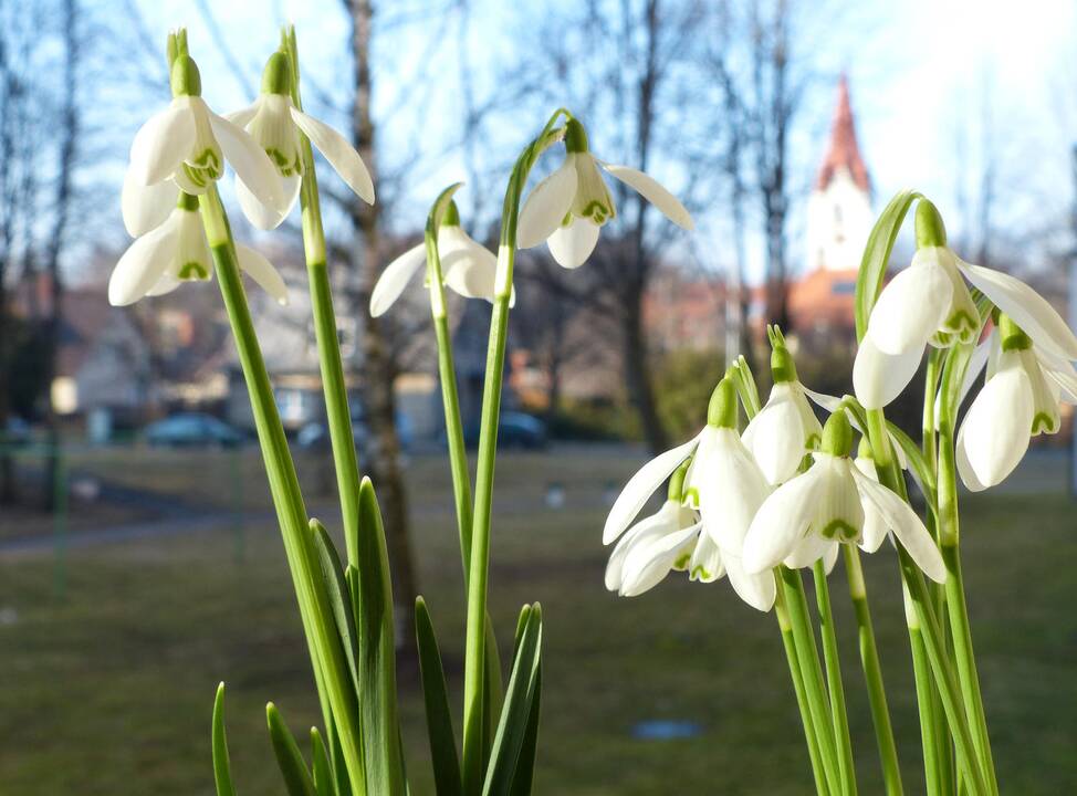 Klimatologė: kalendoriaus lapeliu dangui nepamojuosi