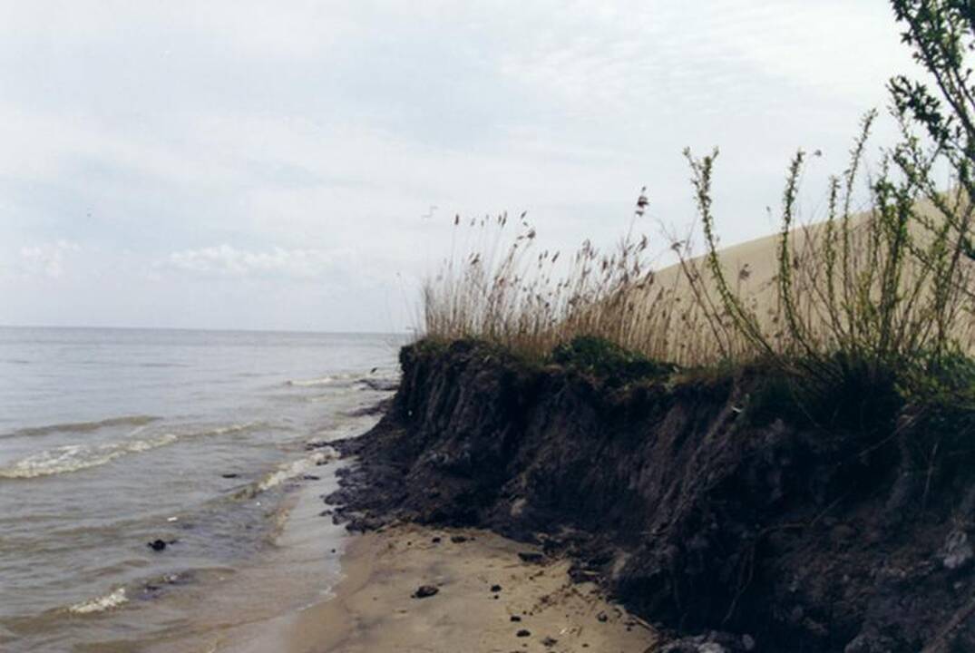 Siūloma apšviesti Parnidžio kopą