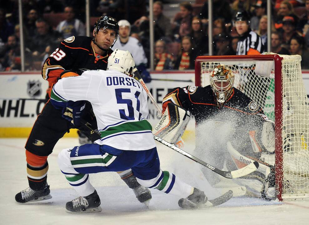 "Ducks" ledo ritulininkai vejasi absoliutų NHL pirmenybių lyderį