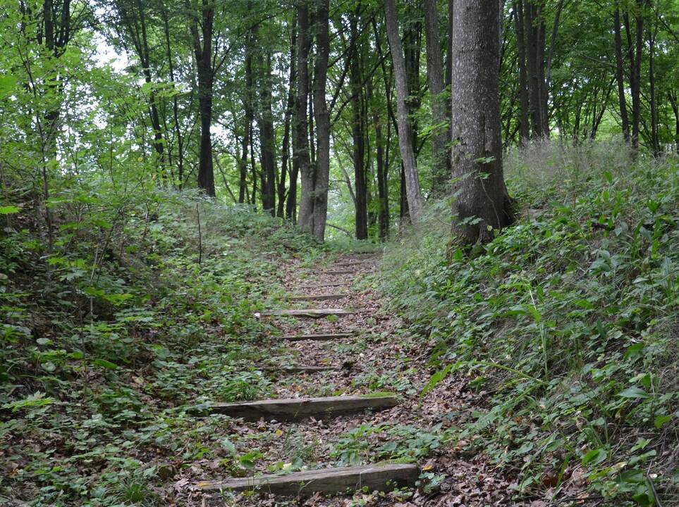 Atgimsta Kalniškės piliakalnis