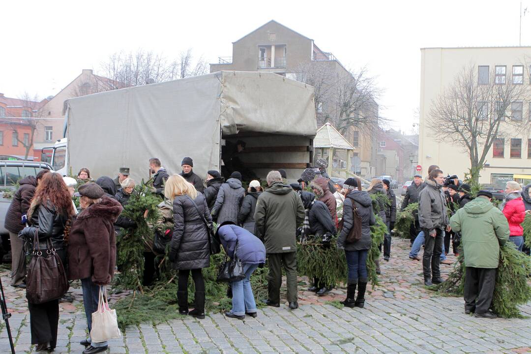 Populiaru: eglių šakas miestiečiai išsidalija akimirksniu.