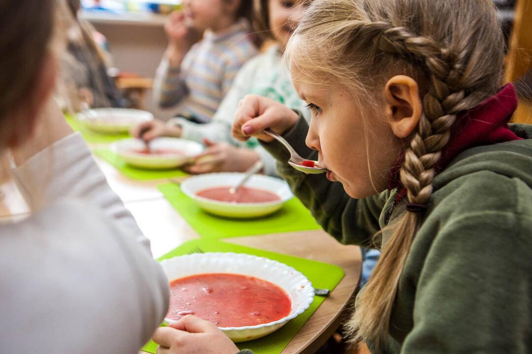 Mokyklas ir darželius užgrius maisto tikrintojai