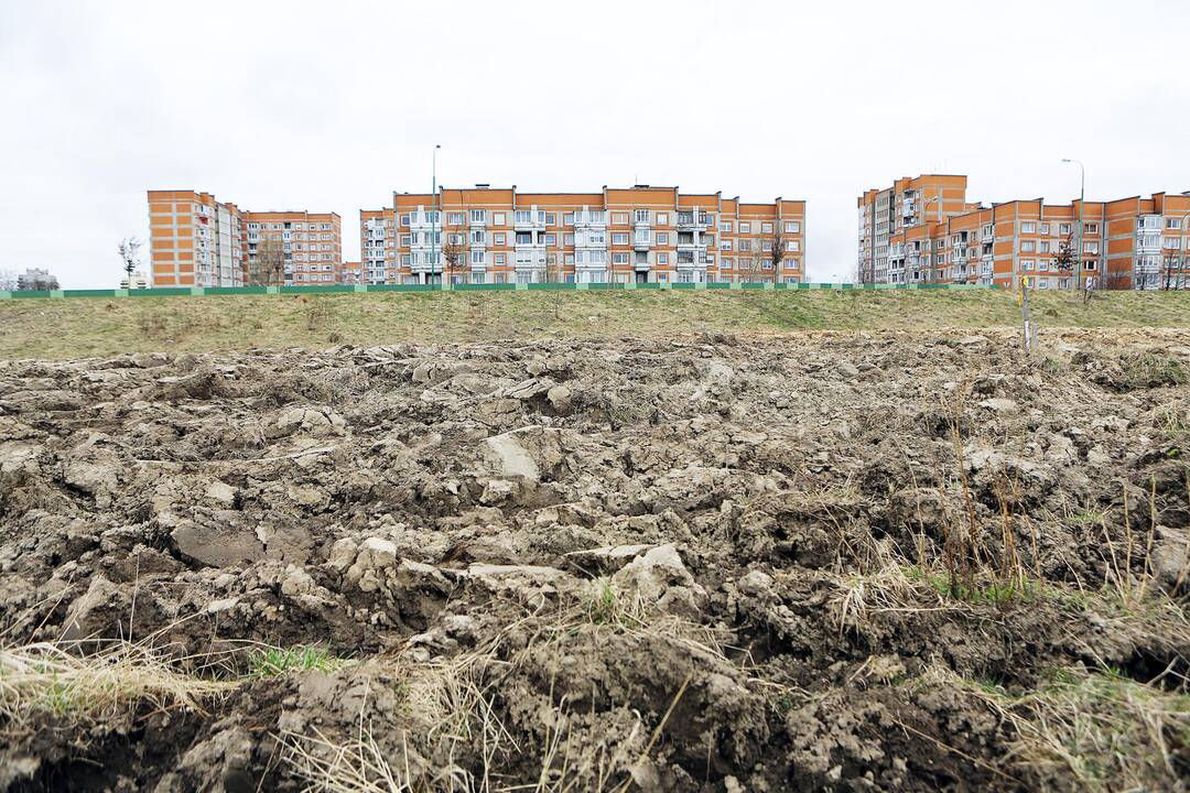 Žala: kažkas suarė pievą, kuri, praeities žinovų teigimu, slepia buvusios Bandužių gyvenvietės pėdsakus.