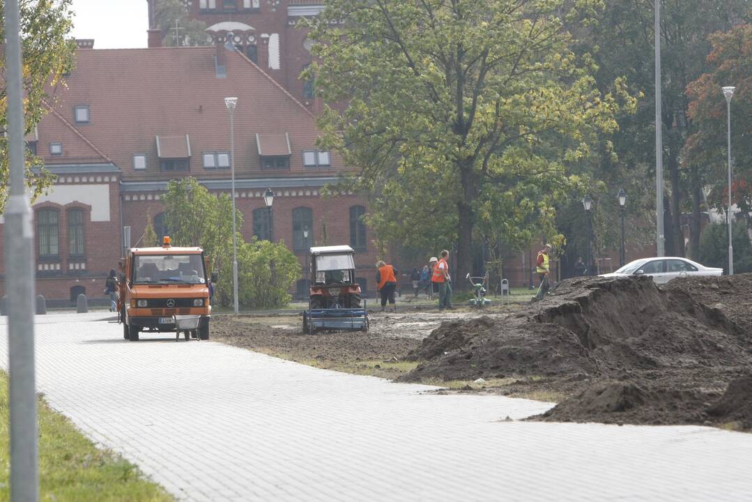 Sprendimas: teritorijoje persodinama veja, nes senojoje išaugo per daug piktžolių.