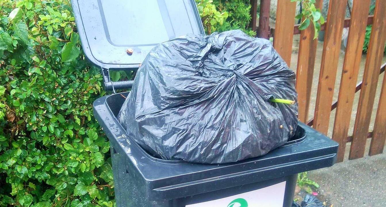 Pamoka: didžiausia rūšiavimo klaida – žaliąsias atliekas į konteinerį išmesti plastiko maišeliuose.