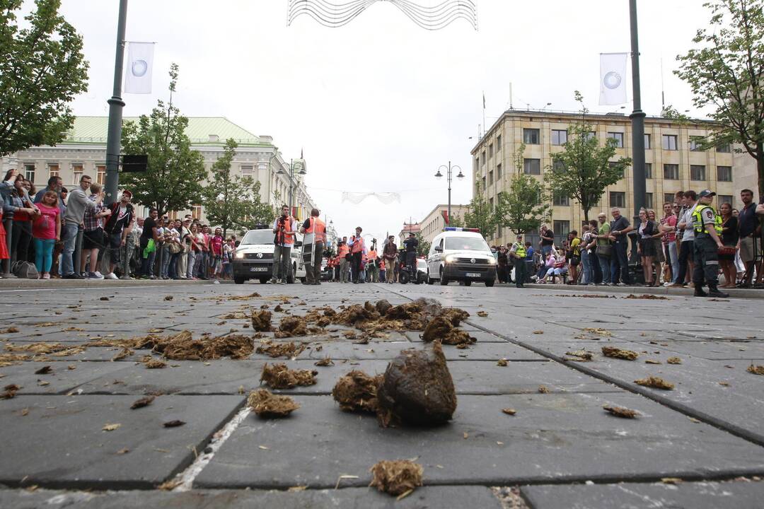 Seksualinių mažumų eitynės sostinėje
