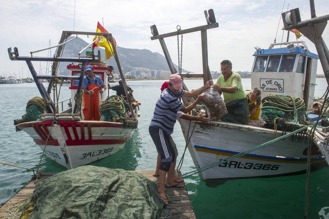 Konflikte dėl Gibraltaro slypi kontrabanda, kerštas ir pavydas 