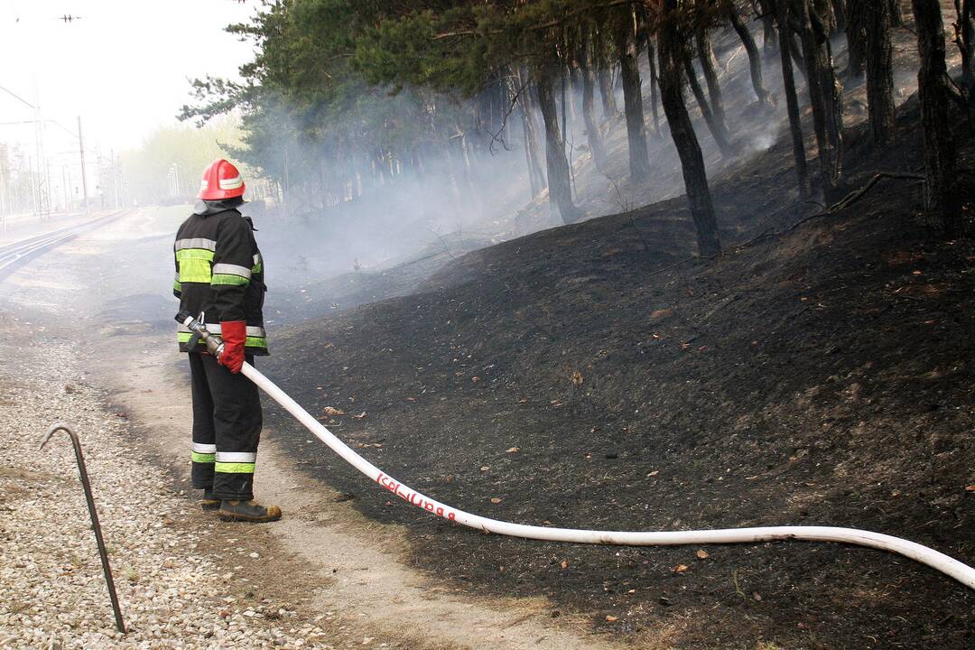 Lietuvos miškuose didėja gaisrų pavojus