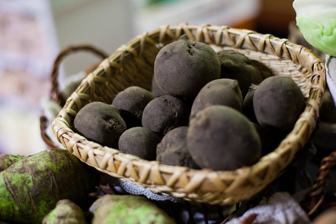 Gausėja burokėlių augintojų gretos