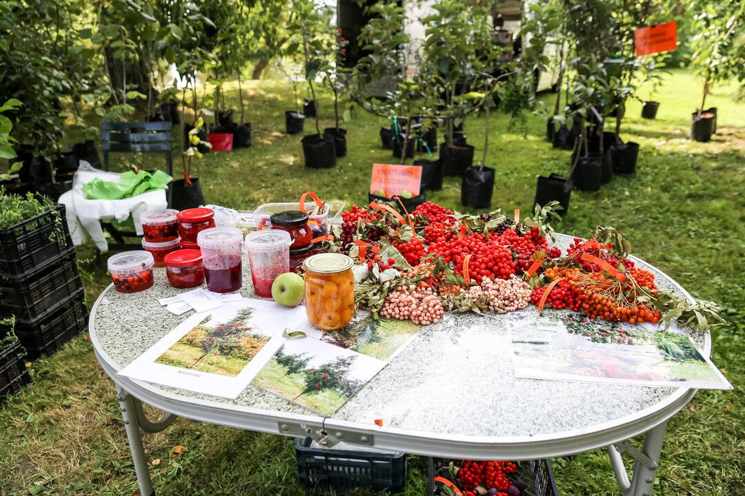 Botanikos sodo mugėje – rudens gėrybių viliotinis