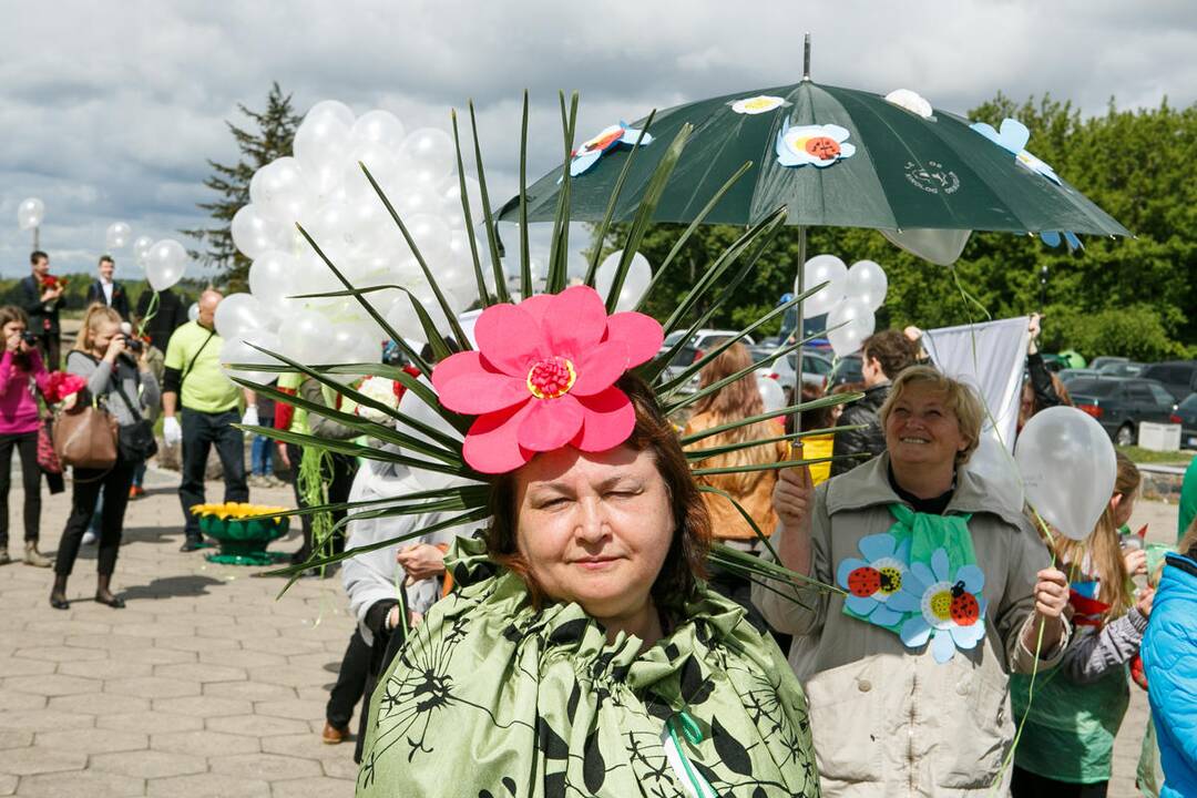 Augalų žavadienio eisena