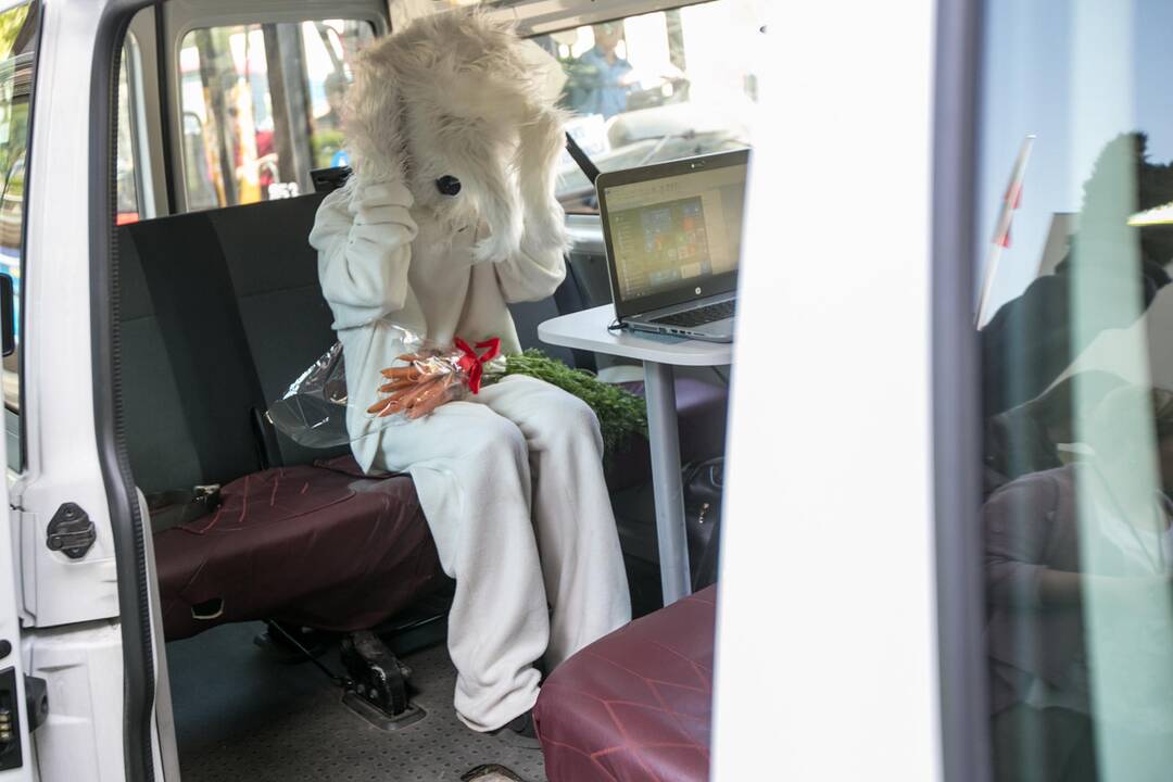 Zuikių gaudymo akcija Kauno viešajame transporte
