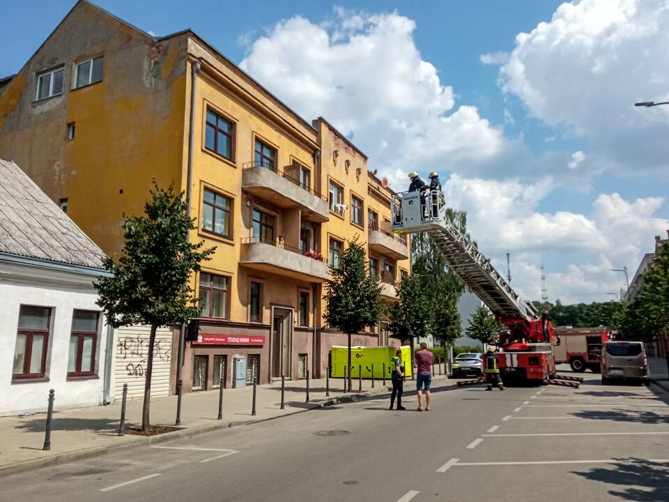 Šuns gelbėjimo operacija Miško gatvėje