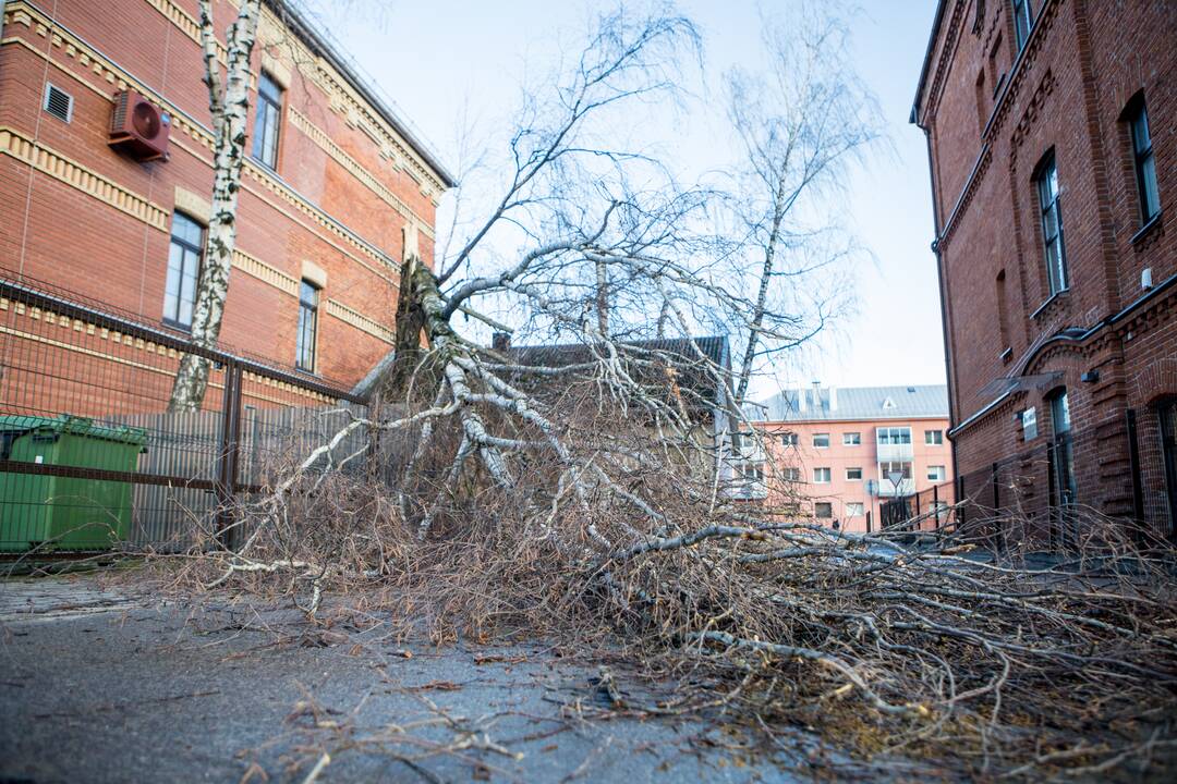 Stiprus vėjas Kaune apgadino namų stogus