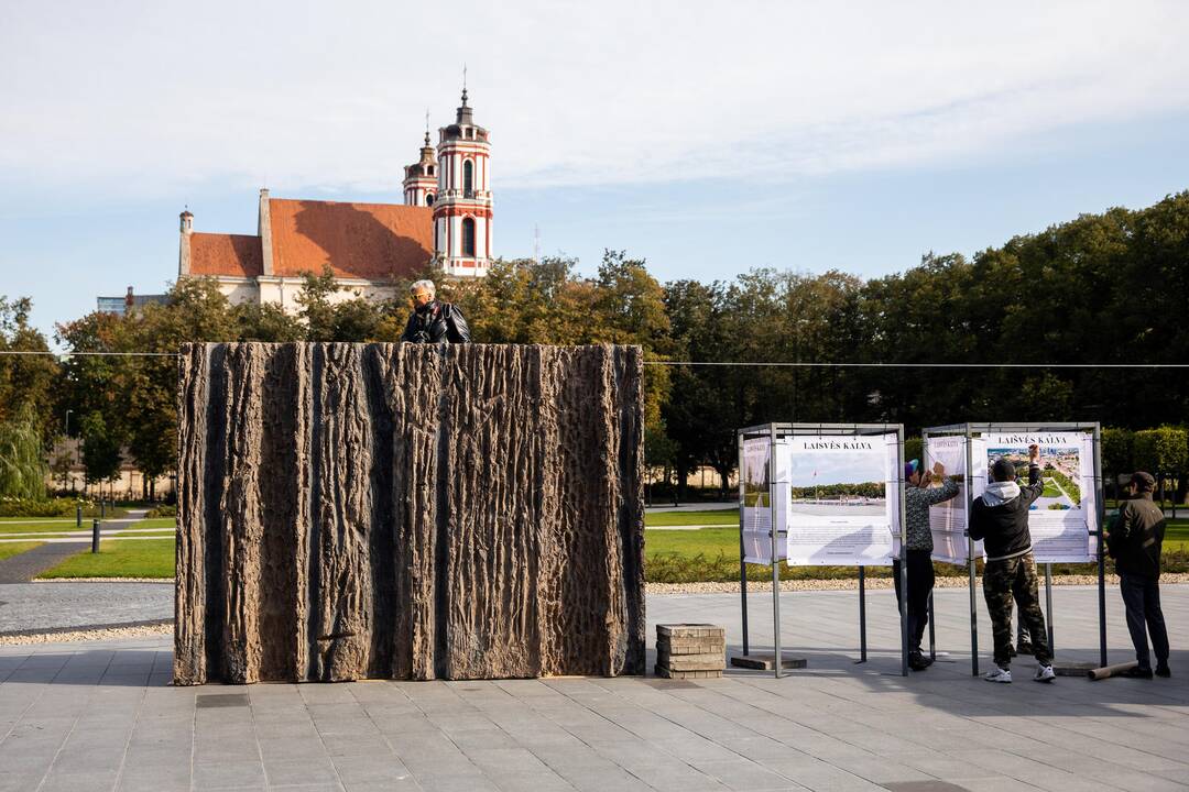 Teismas atmetė „Vyčio“ memorialo kūrėjų skundą dėl „Laisvės kalvos“