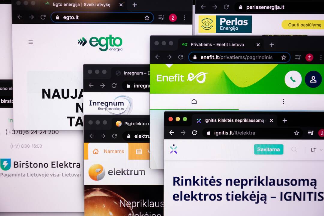 S. Skvernelis ragina numatyti papildomus reikalavimus elektros tiekėjams