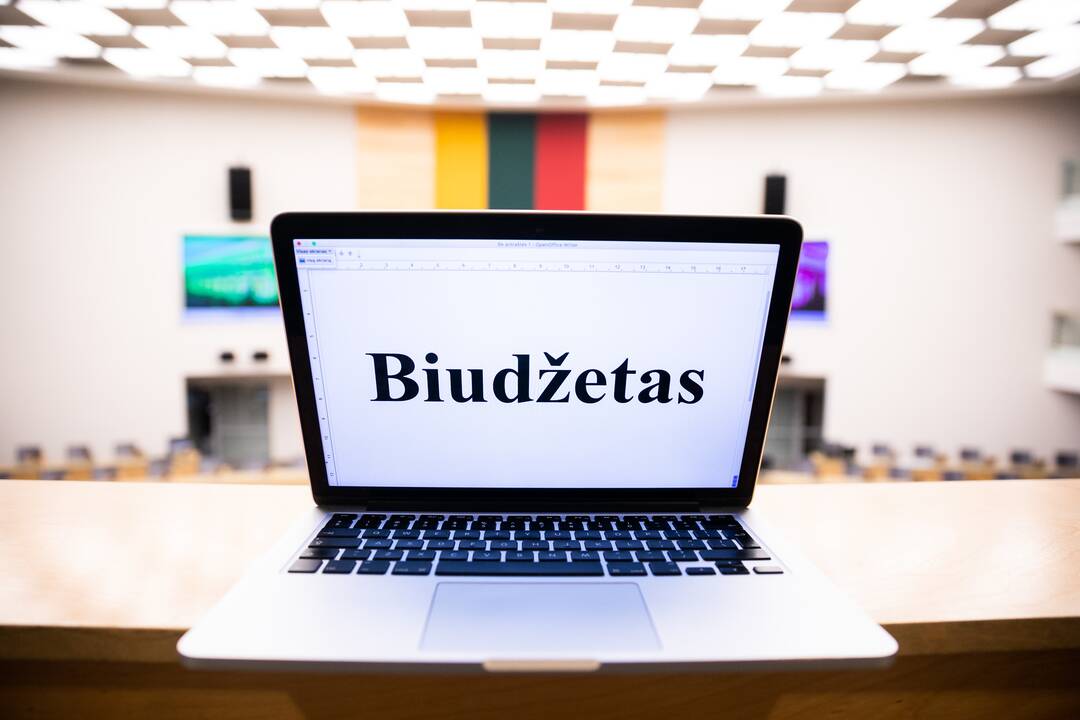 Vyriausybė: biudžeto deficitas šiemet turėtų būti mažesnis