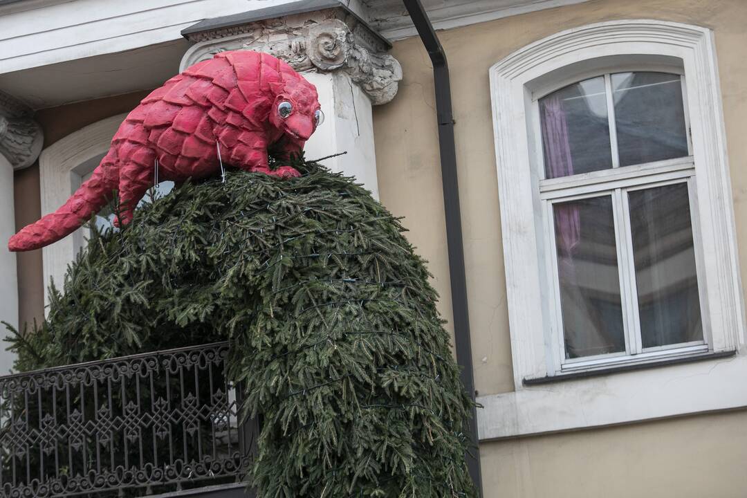 Projekto „Įžiebk Kalėdas balkone“ pradžios renginys