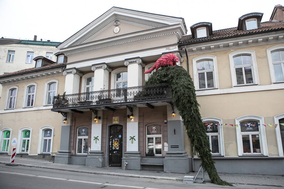 Projekto „Įžiebk Kalėdas balkone“ pradžios renginys