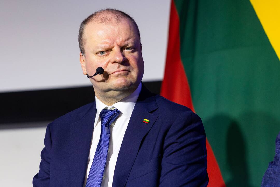 Demokratų sąjungos „Vardan Lietuvos“ suvažiavimas