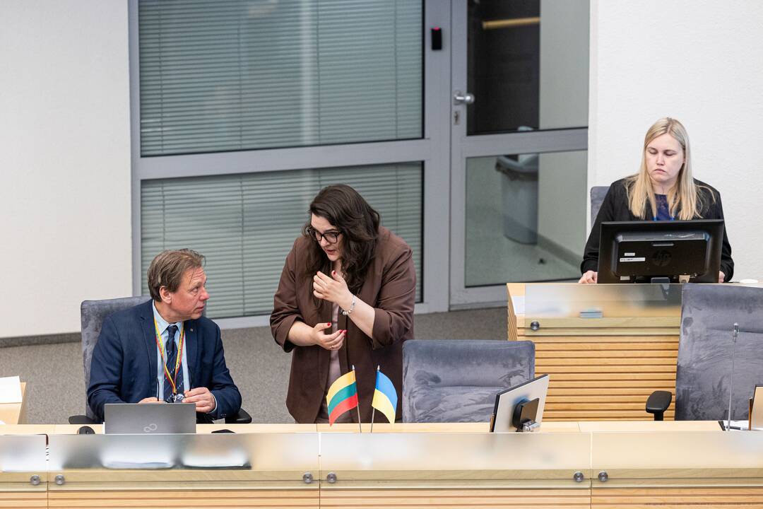 Balsavimas dėl Irenos Segalovičienės paskyrimo valstybės kontroliere