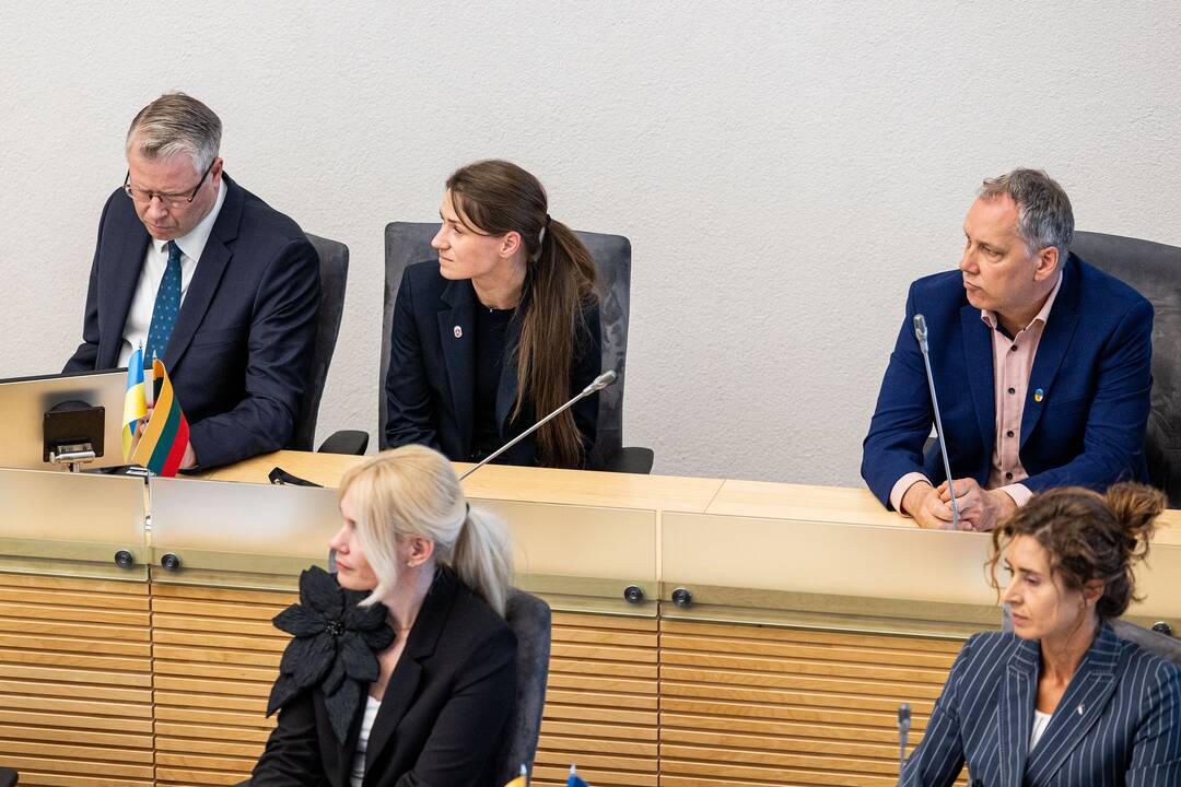 Balsavimas dėl Linos Petronienės paskyrimo į VRK pirmininkus