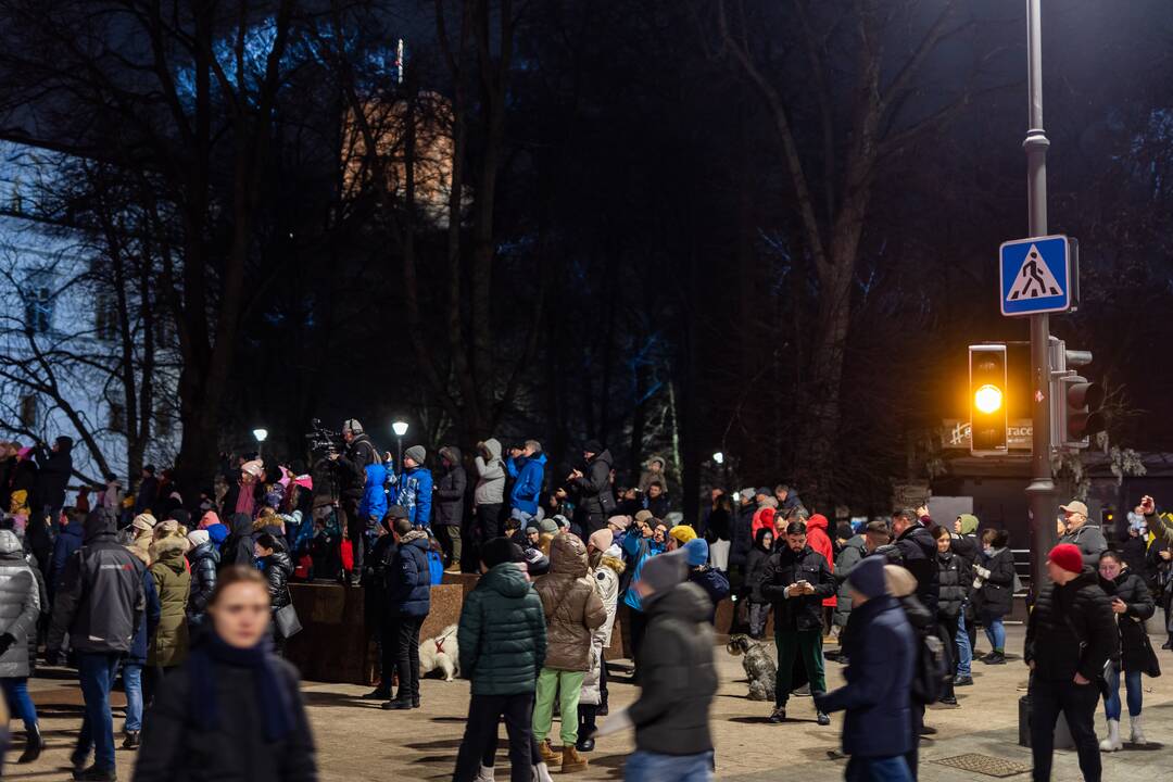 Vilniaus šviesų festivalis