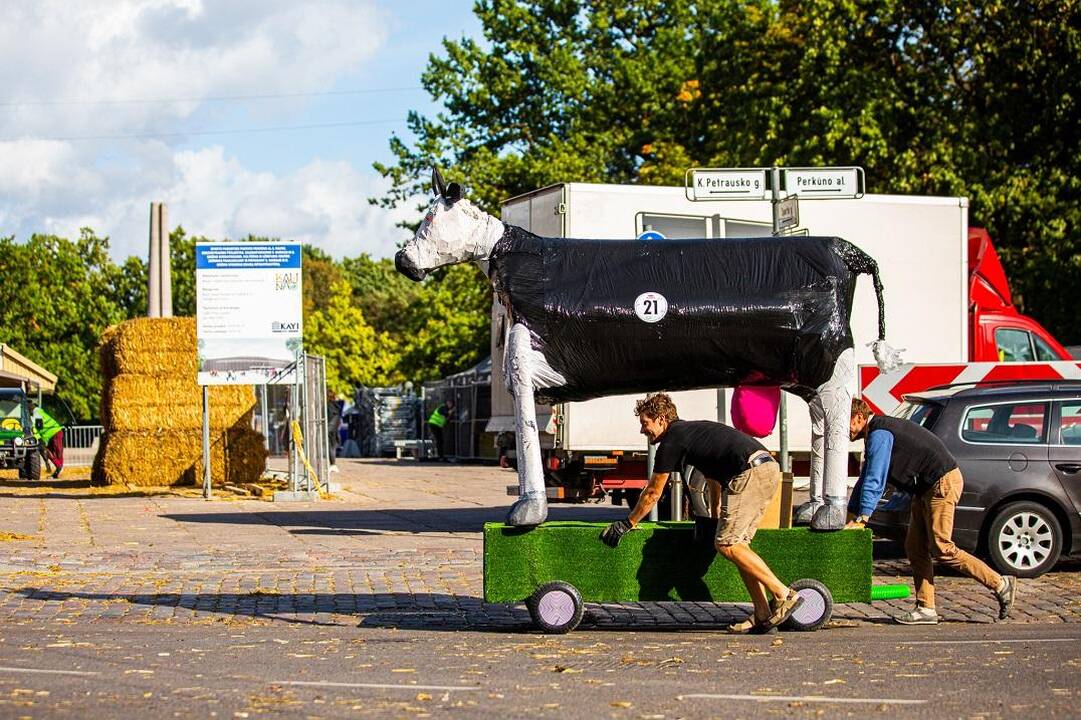 Pasiruošimas „Red Bull muilinių lenktynėms“