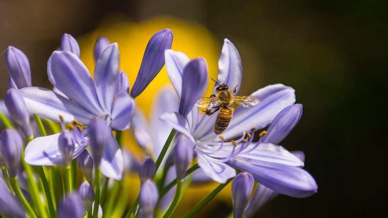 Orai: pirmieji malonūs pokyčiai – jau savaitgalį