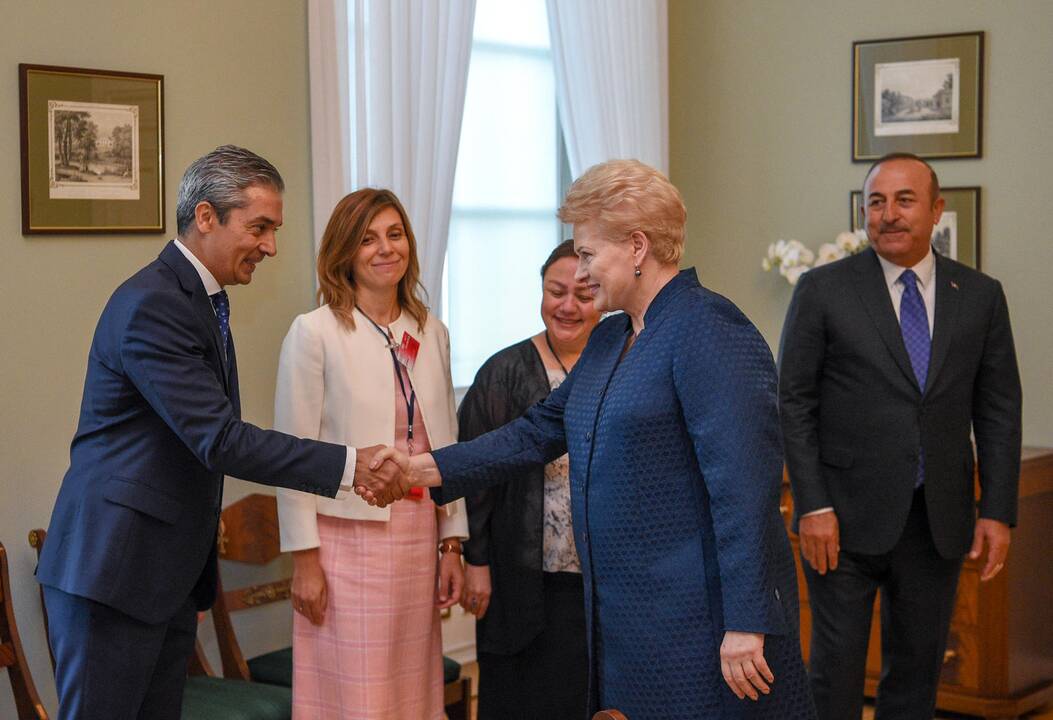 Mevlutu Cavugoğlu ir Dalia Grybauskaitė